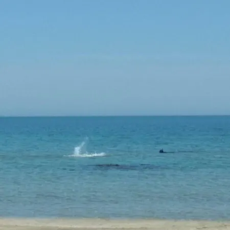 Apartamento Victoria